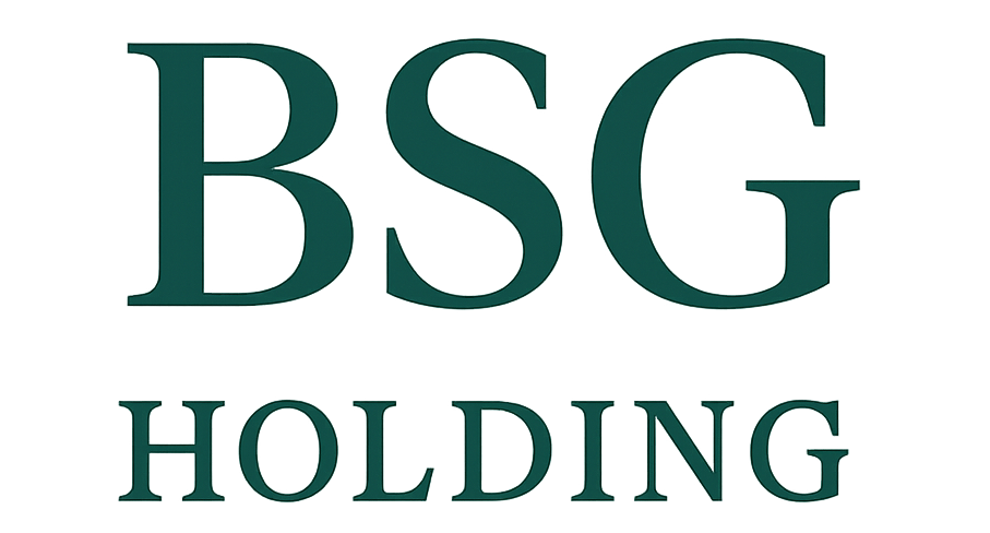 BSG Holding Logo